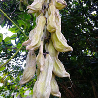 [������]����ʲô����