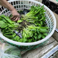 �������ġ���һֱ�£��˼�һֱ�ǣ�������������