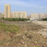 ���Ҹ�̨����Ӱ������ʮ��֮ǰ��ʮ��֮�󣬹�����������������