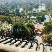 ���Ҹ�̨����Ӱ�������������ǡ����ϳ���