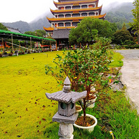 [������]����㻯��