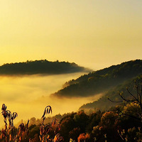 ���Ҹ�̨����Ӱ������+��һ�ָ��綫���ĸо�