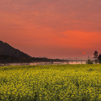 ���Ҹ�̨����Ӱ�����������ٺ�