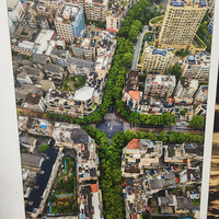 ���н����仯