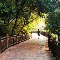 ���Ҹ�̨����Ӱ����������ɽ��԰