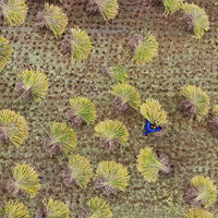 ��һ�£����������Ҹ���ζ����