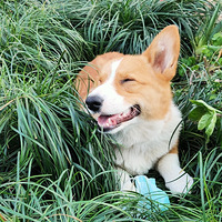 ʮµķ羰