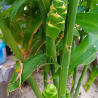 [������]����һ���Ľ�����