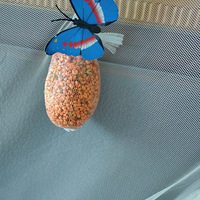 �������ġ��𻨼���˭��û�����������