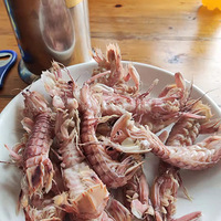 ʵ�ݣ�ζ��������