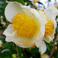 [������]����Ĳ������˻�