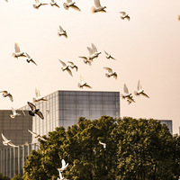 ���Ҹ�̨����Ӱ��������������