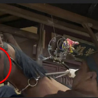 �üٰ������²�һ�㶼��ί���ɣ�