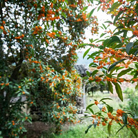 ʮ�¶�᮹���