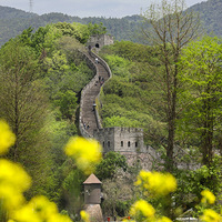 ���Ҹ�̨����Ӱ������+�ų����С��ٺ�