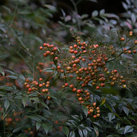 ���Ҹ�̨����Ӱ������+������죨·������ɽ�ɷ磩