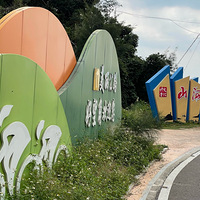 �񻷺���������