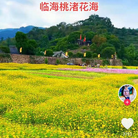 ����е�С������ʮ������������ȥʵ�ؿ��ˣ�������������