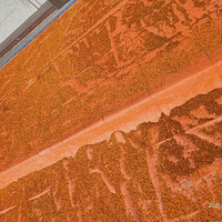 �������ġ���ô��𻨣����ж�������