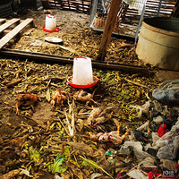 ����һ��������