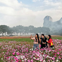 �ҽ�ʮ��侻������ǿ���ȥ��һ����