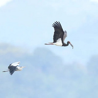 �쿴���������ѡ�����̨����