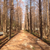 ���Ҹ�̨����Ӱ������+������Ƿ羰