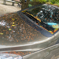 ���۸��᡿����һҹ��������ǧ�������𻨰�����ĳ�����������