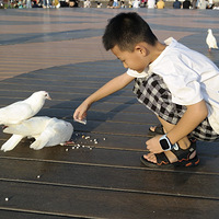 ���Ҹ�̨����Ӱ�������ҵ�̨��������