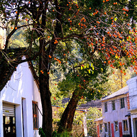 ���Ҹ�̨����Ӱ������һ��þ������