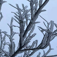 -2.7�棡̨��һ����ǰ������ۣ�