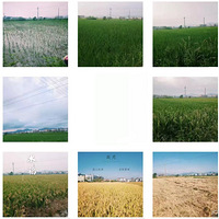 ���Ҹ�̨����Ӱ������+��������-�°�·�ϵ�����