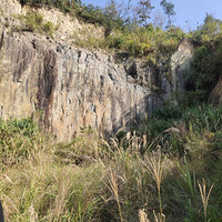 ���ֵ���Ŀ����ʵ����������ȡ����