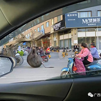 ̫ͻȻ�����ϻ��У�