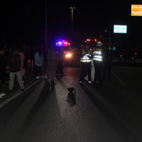 ����һ����Ϊ�ӱܲ鴦����ж���Ƴ��󺣣��������