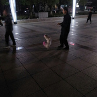 [�Ҹ�̨����Ӱ����]�������֣����ﹷ��