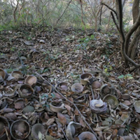 ֤ʵ���㽭���й����֮Դ����̨���⴦��ַ�д�