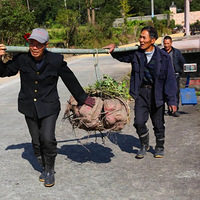 �������ݶ��Ȳ�����������̳�ھ��Ѿ���ô������~~