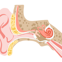 �㽭���Ӷ����ﳤ����̦޺����ҽ��һ�����ˣ�����ϰ�ߺܶ��˶���