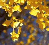 ̨���⼸���ط������ӻ��ˣ���ɫ������.....