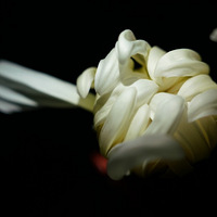 �ջ���û��