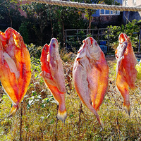 [������]ɹ����