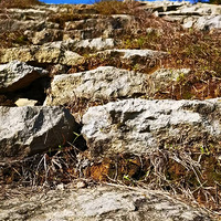 ������������