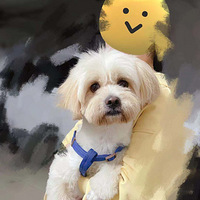 Ѱ������