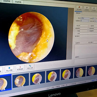 ���£��������Ӷ�����ȡ��һֻ֩�룬�����ڶ��������һ����