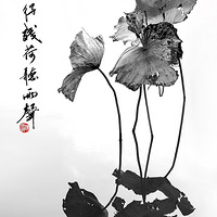 ���òк�������