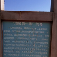 ţ