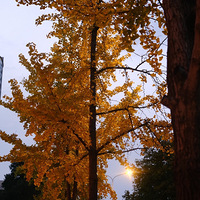 ̨�ݽ��������ӵ����֮һ���и����