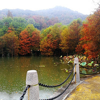 [������]����ɽ�����ֺ���