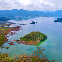 ����#��̶�����֣�̨�ݵĳ���Ҳ������ô��